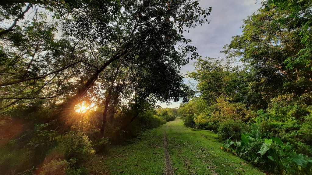 Jalan Menuju Kebun Karet Warga Gampong Pinem